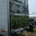2016 Utility 3000R Reefer Trailer – Thermo King Precedent S-600