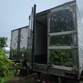 2016 Utility 3000R Reefer Trailer – Thermo King Precedent S-600